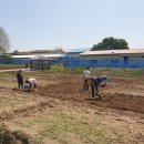 대비농장2 이미지