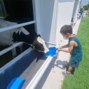 은희네목장 이미지