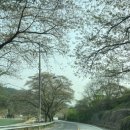 모악산가는길 | ⛺［김제］김제모악산캠핑파크 :: 4월 캠핑