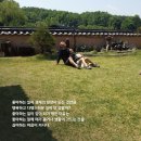 호미건축사사무소 | 나의 직업, 건축가