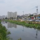 대동천변(大東川邊)을 걷다(2)...대전 지방하천 탐방 네번째 이미지