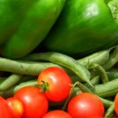 진호목장 이미지