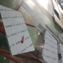 순천-28호 이미지