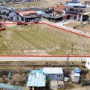 부등 농장 이미지