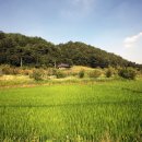 산천정사(山泉精舍) 이미지