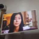 양지노래마차