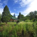 대촌마을 이미지