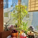 고재형농장 | 부산 해운대 맛집 고재 해리단길점 메뉴와 가격 리뷰