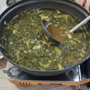 삼성전자선산 | 잊지 못할 장례식 ; 삼성전자 장례진행 건, 3일간의...용인평온의숲, 충남 개인 선산 선영, 상조 진행