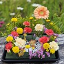 외삼초등학교(병설) 이미지