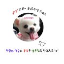 짬뽕상회 태화점 이미지