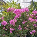 정모농장 이미지