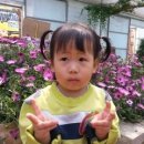 선영농원 - 천안시 서북구 성월수향길 5 | 선영농원