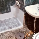 올레지던스모텔 이미지