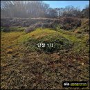 현장답사 및 개장 신고 후기... 이미지