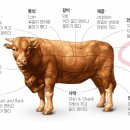 아이디얼푸드 이미지