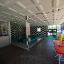 안면도 네잎클로버 수영장 이미지