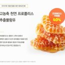 비머스 이미지