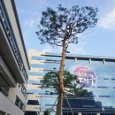 대구가창초등학교 이미지