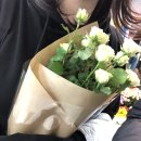 송정농장 | 광주송정역 꽃집 시나플라워 후기 위치 가격 영업시간