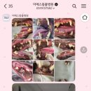 더에스동물병원 이미지