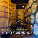 포르투 와이너리 투어 추천 오다가다 일정, 정보, 가격, 솔직후기