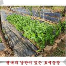 이일농장 이미지