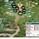 하늘동그라미'대전 | 대전 캠핑장 성북동숲속야영장 애견동반까지! (명당사이트 추천)