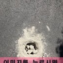 제2주차장 이동식 이미지