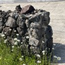 제주독채펜션 돌담감성숙소 흐레 이미지