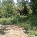 매화리경로당 이미지