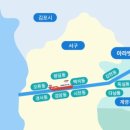 아라애견 이미지