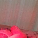 명수한의원 이미지