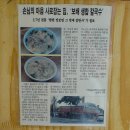 보배생합칼국수