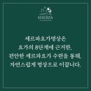 별빛 가득한 하늘에 초원을 등지며