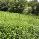 황룡2리마을회관 이미지