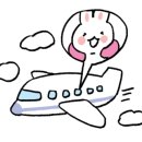 이태원행정사합동사무소 이미지