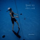 수영 좋아한다면 추천하는 프리다이빙, 와이낫다이브 AIDA1 자격증 후기