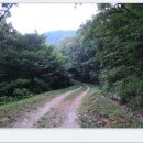 속리산둘레길 보은길4 이미지