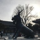 광사제 네이버블로그