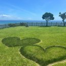 종일코스 이미지