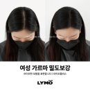라이모플러스(LYMOPLUS) 이미지