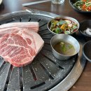 푸른숲팡팡 | 제주 숲뷰 만끽하며 즐긴 찐 흑돼지 파티: 서귀포맛집 '꺼멍목장' 리얼 후기