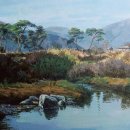 소나무풍경 이미지