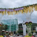 제387차 둘레길&#34;유엔평화공원 국화축제&#34; 이미지