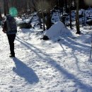 휴양림길 이미지