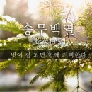 송백 이미지