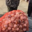 태안 도담빌리지 단체 키즈 갯벌 가족 수영장 이미지