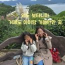 가조도다올풀빌라펜션