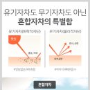 아르케스킨앤바디